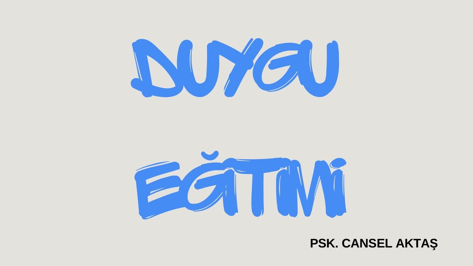 Duygu Eğitimi